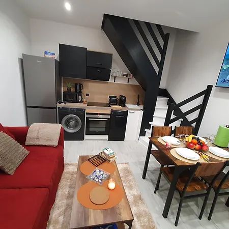 Duplex Avec Mezzanine Au Coeur De La De Apartment *