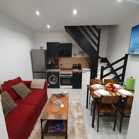 Duplex Avec Mezzanine Au Coeur De La De Nancy